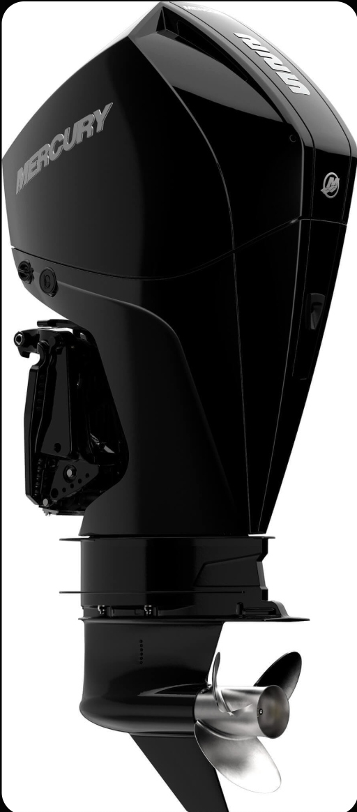 Mercury 225L FourStroke DTS 12250024A — outboard motor