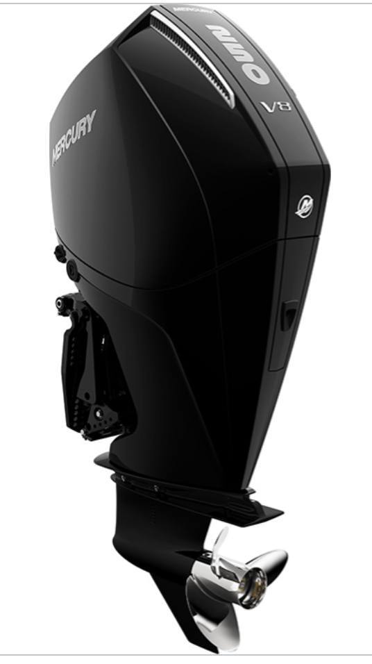 Mercury 250L FourStroke 12500096A — outboard motor