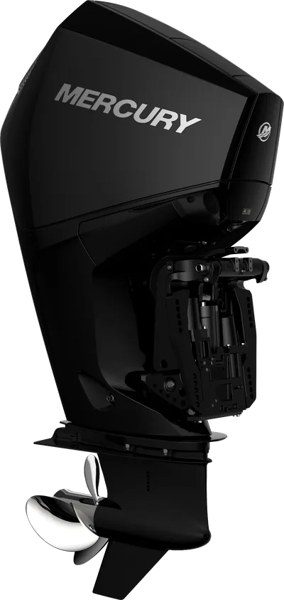 Mercury 175L FourStroke Pearl Black GH-FS-V6-175-PB — outboard motor — view 4