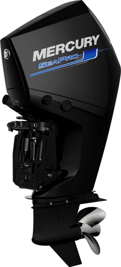 Mercury 250L SeaPro V8 GH-SP-V8-250 — outboard motor — view 2