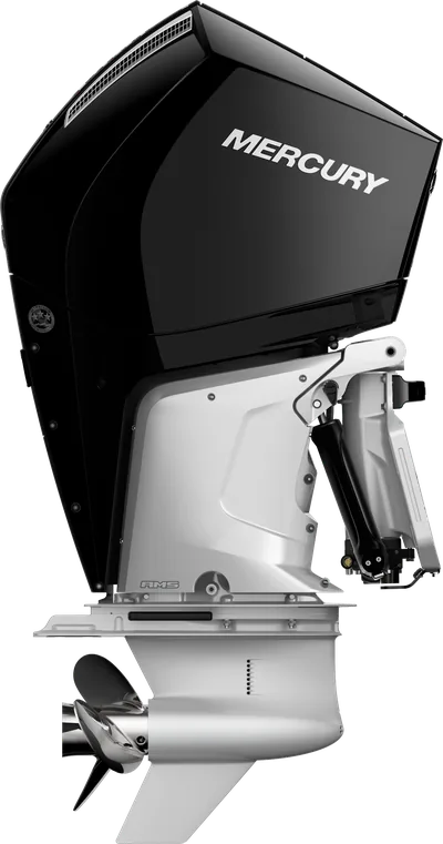 Mercury 250L FourStroke Pearl Black GH-FS-V8-250-PB — outboard motor — view 4