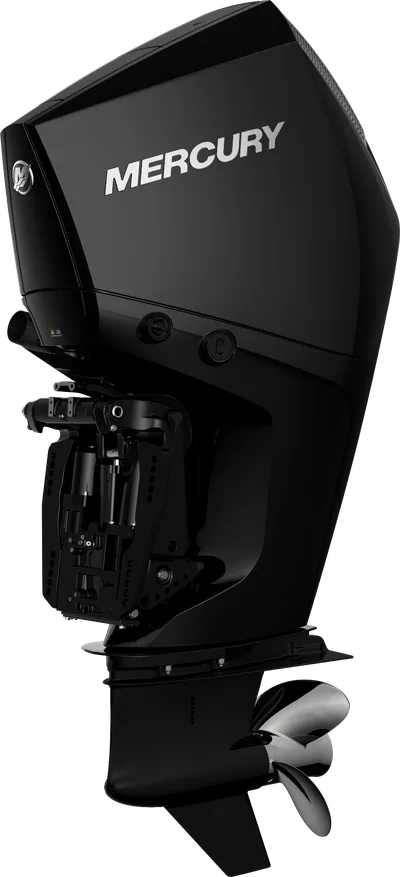 Mercury 300L FourStroke Pearl Black GH-FS-V8-300-PB — outboard motor — view 9