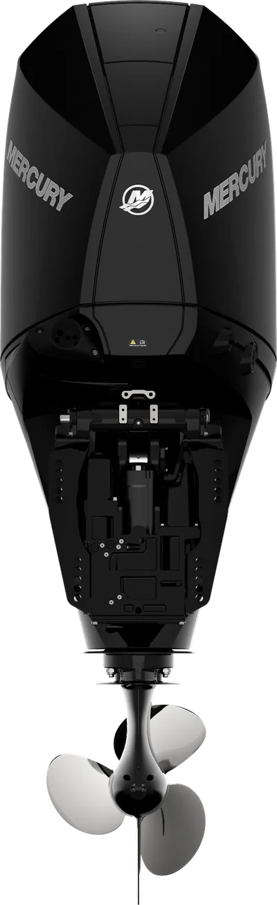Mercury 250L FourStroke Pearl Black GH-FS-V8-250-PB — outboard motor — view 5