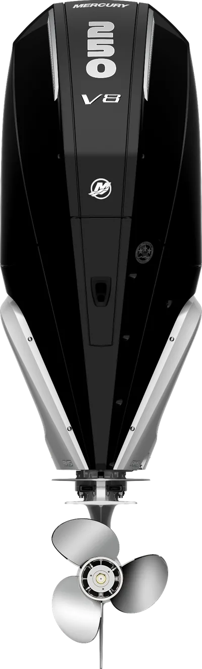 Mercury 250L FourStroke Pearl Black GH-FS-V8-250-PB — outboard motor — view 8