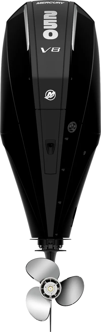 Mercury 250L FourStroke Pearl Black GH-FS-V8-250-PB — outboard motor — view 10